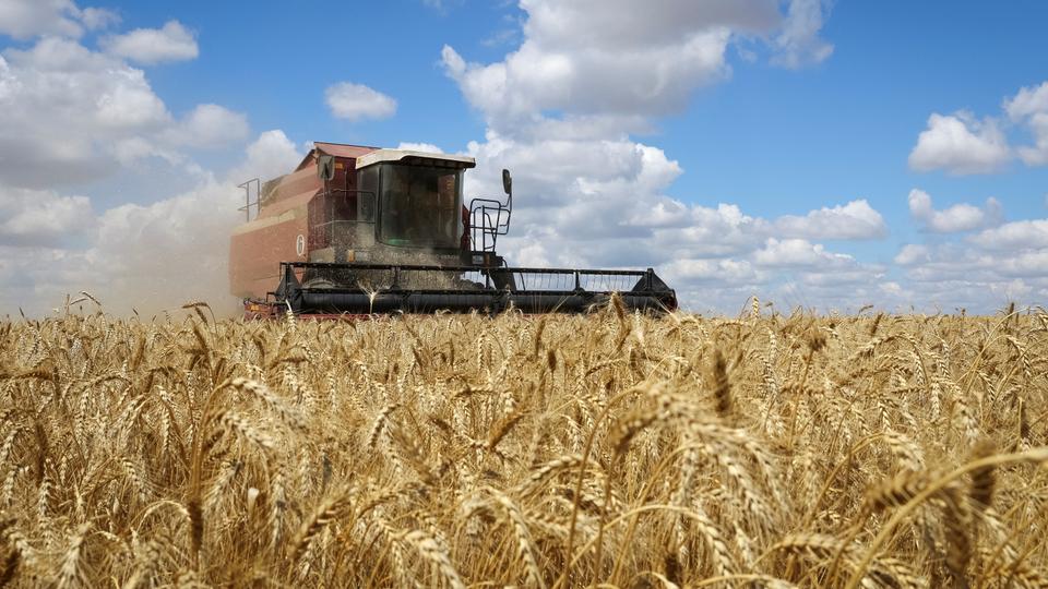 Russia and Ukraine signed agreements on Black Sea grain exports in Istanbul on Friday, with Türkiye and the UN as co-guarantors.