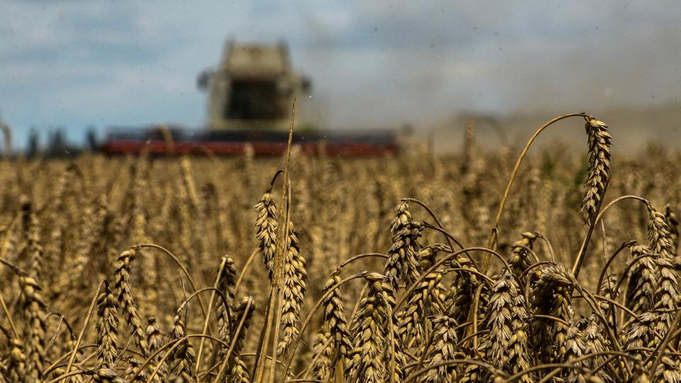 Ukraine's grain had been stuck for months because of the ongoing conflict with Russia, now in its sixth month.