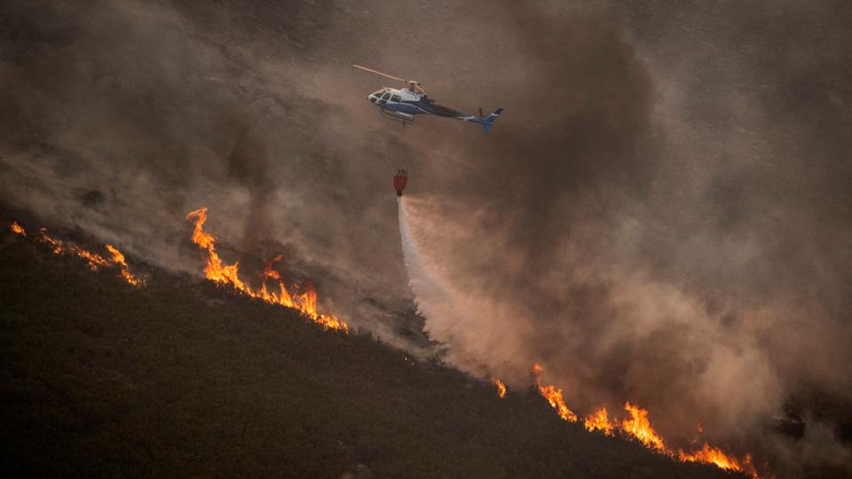 Severe heatwaves — made hotter and more frequent by climate change — are already being felt across the world, threatening human health, wildlife and crop yields.