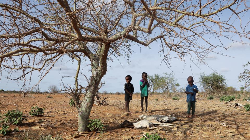 Thousands of people, including children, cross borders, the Sahara Desert and the Mediterranean Sea in search of safety and a better life each year, the ICRC said.