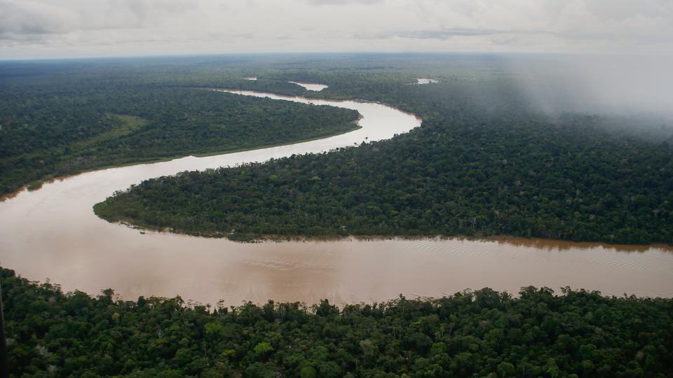 Rainforests of the Amazon, Borneo and Congo basins are threatened by excessive logging, which hurts biodiversity and releases greenhouse gases that accelerate climate crisis.