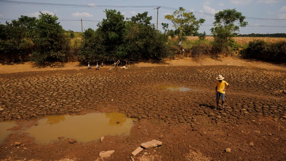 Producers in Europe and China have warned of significantly lower than expected harvests in crop staples due to drought and food prices hike.