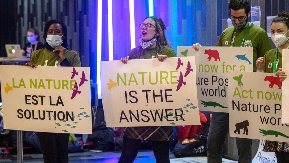 Climate activists hold signs during the United the Nations Biodiversity Conference (COP15) in Montreal, Quebec.