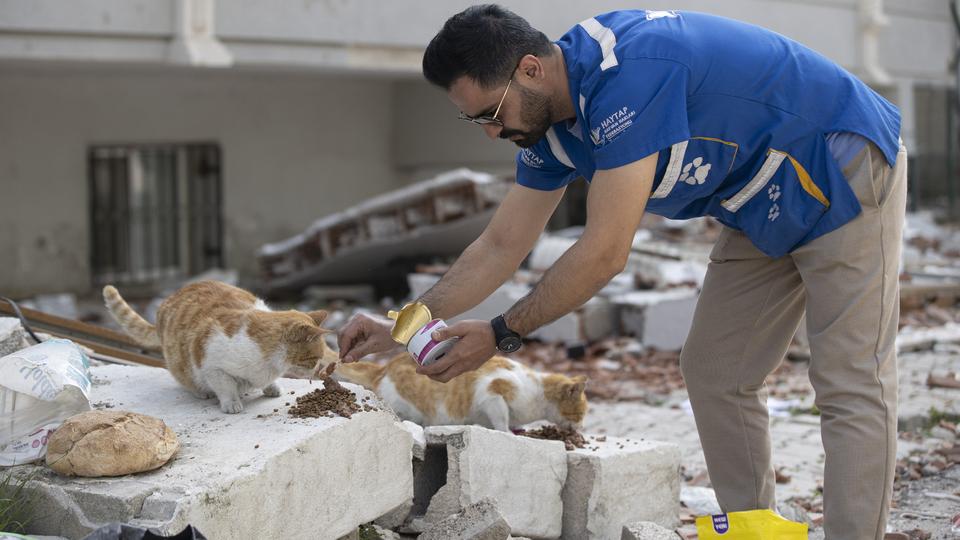 Volunteers rescue over 1,500 animals from quake rubble in Türkiye