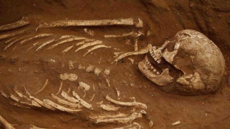 Skeletons have been found for the first time after  a century of excavation in the Philistine valley.