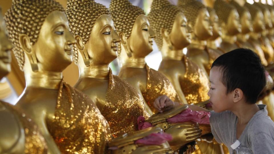 Image result for buddhas