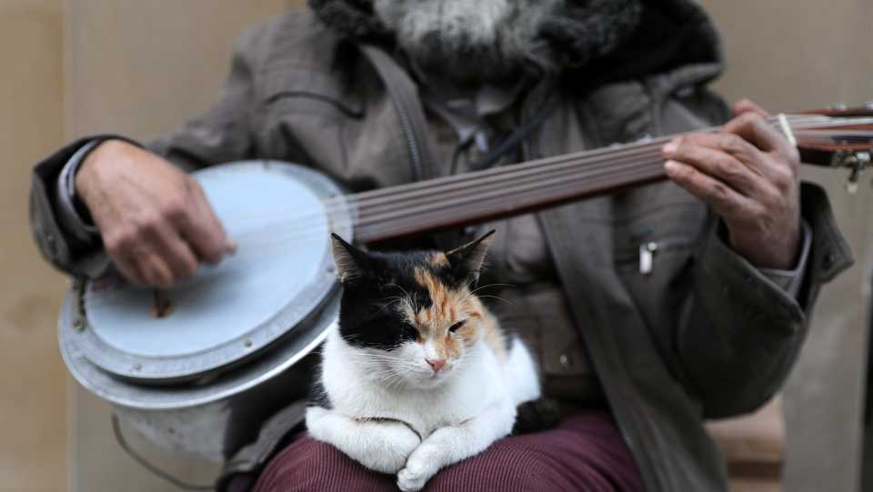 A cat sits on the lap of a street musician in Istanbul, Turkey. January 2, 2018.