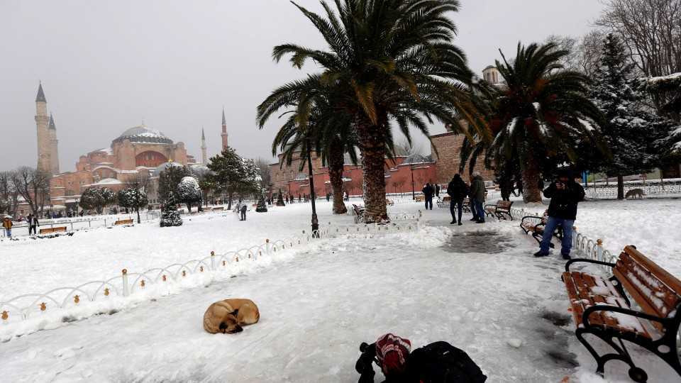 A man takes pictures of a stray dog at snow-covered Sultanahmet Square in Istanbul, Turkey, January 8, 2017.