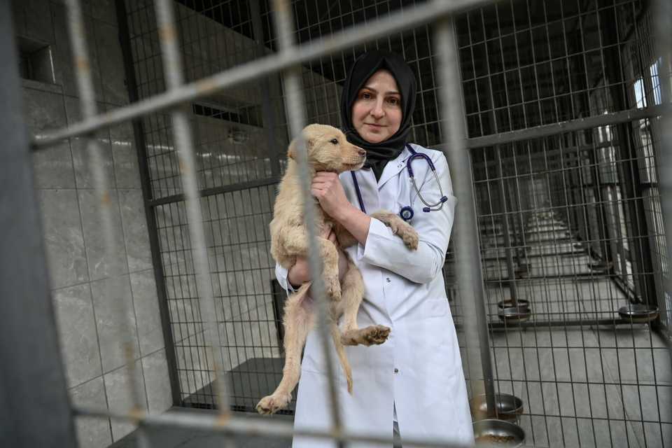 Tugce Demirlek, chief veterinarian of the Sultangazi Health Center, poses with a stray dog on January 30, 2019 in Istanbul.