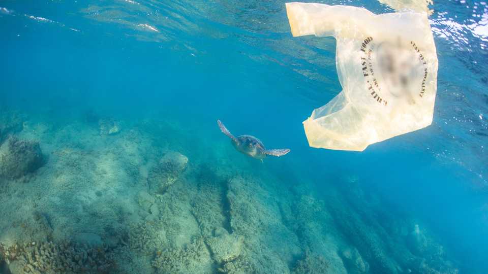 A plastic bag that’s used for two minutes then thrown away may take centuries to biodegrade.