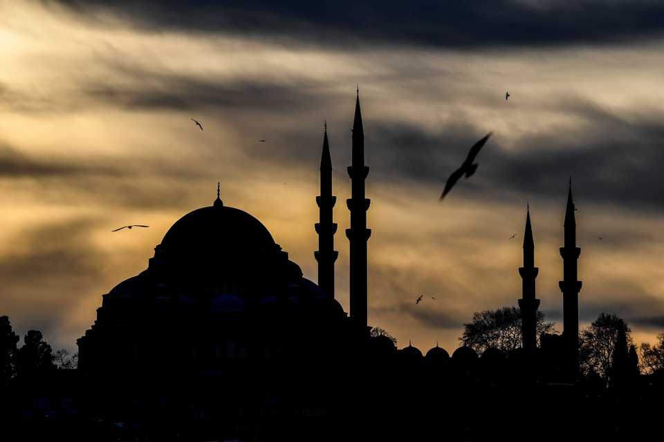 The silhouette of Suleymaniye mosque in Istanbul during sunset as seagulls fly over the golden horn.