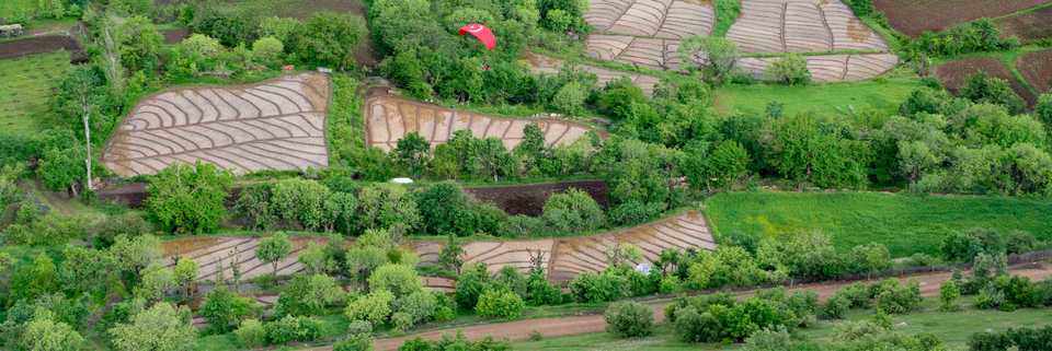 Cukurca's rice fields under the municipality-funded Zap project.