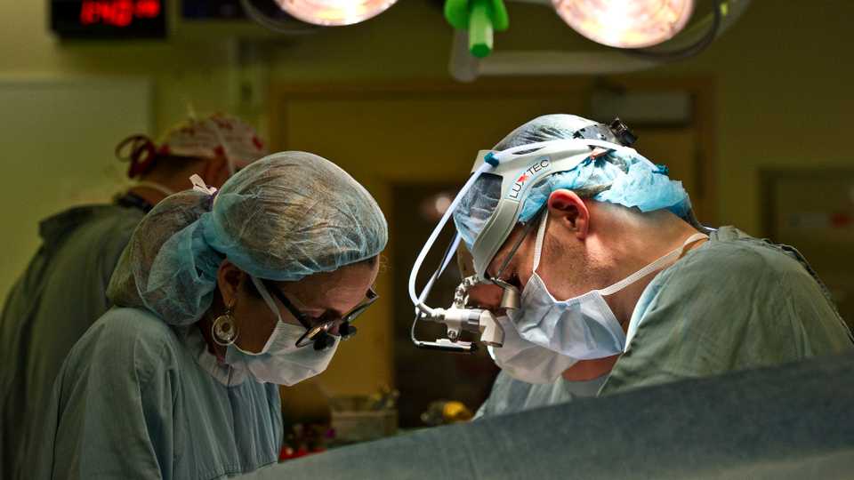 The Turgut Ozal Medical Center at Inonu University offers approximately 250 annual transplants.