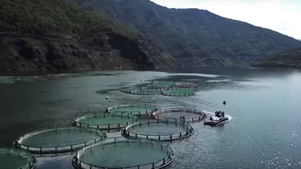 A photo shows salmon farms in Rize, Turkey. (Screen capture)