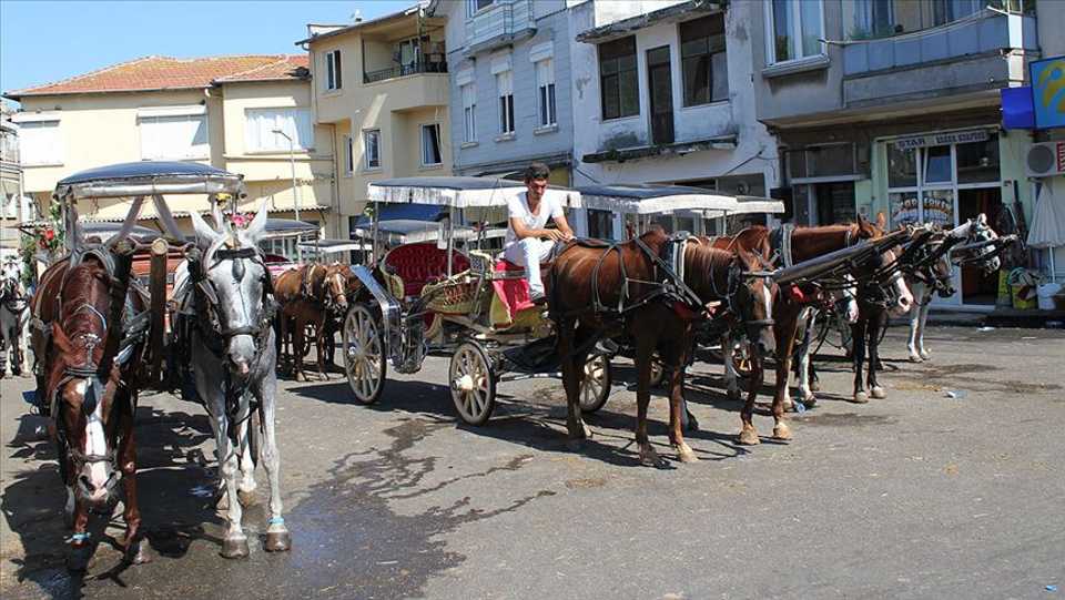 [File photo] Horse carriages have been the main mode of transportation on the Princes' Islands for years.