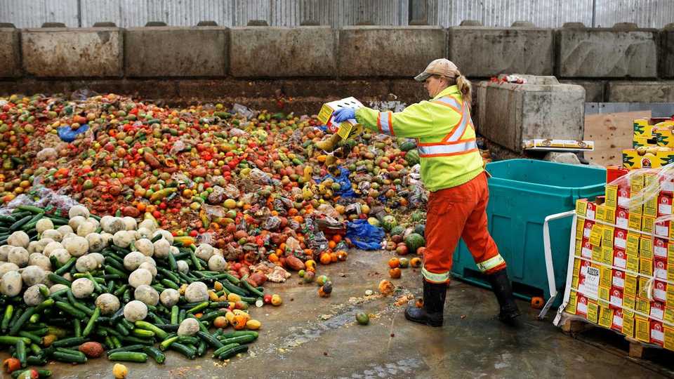 A worker dumps pre-consumer food waste before being fed to black soldier fly larvae at the Enterra Feed Corporation in Langley, British Columbia, Canada, March 14, 2018.