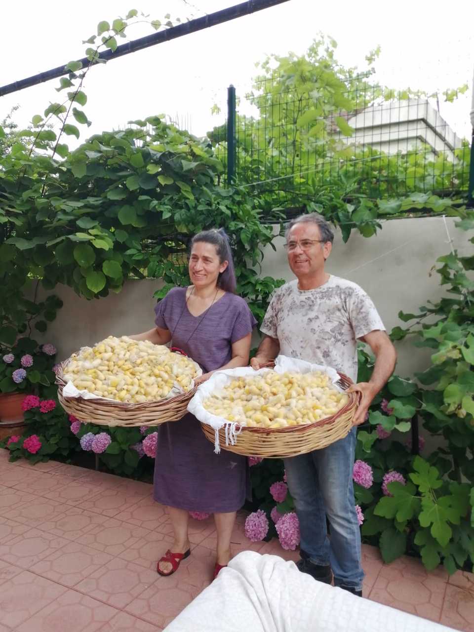 Emel and Fikret Duman showing off Hatay yellow cocoons
