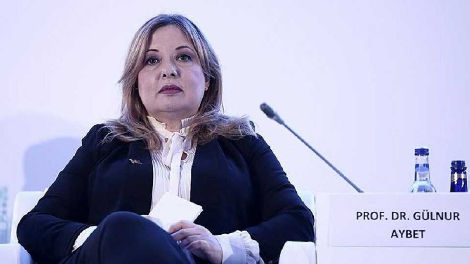 In this file picture senior adviser to the president of Turkey and professor at Turkish National Defence University, Gulnur Aybet speaks during a meeting.