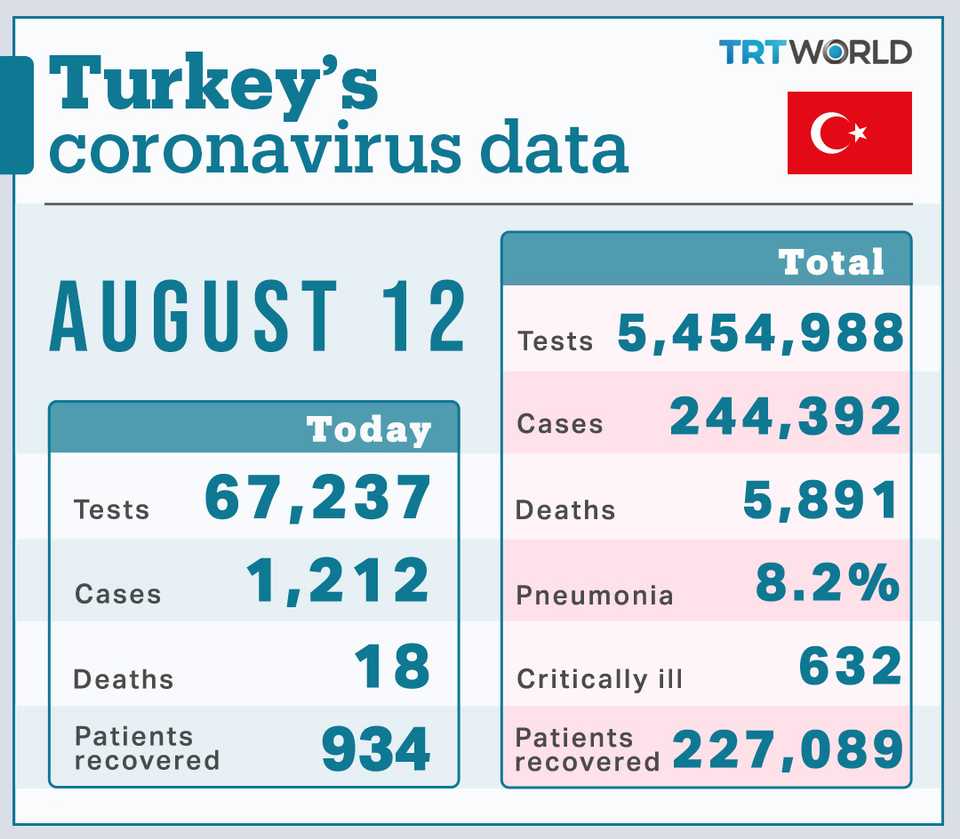 Turkey's coronavirus statistics as of August 12, 2020.