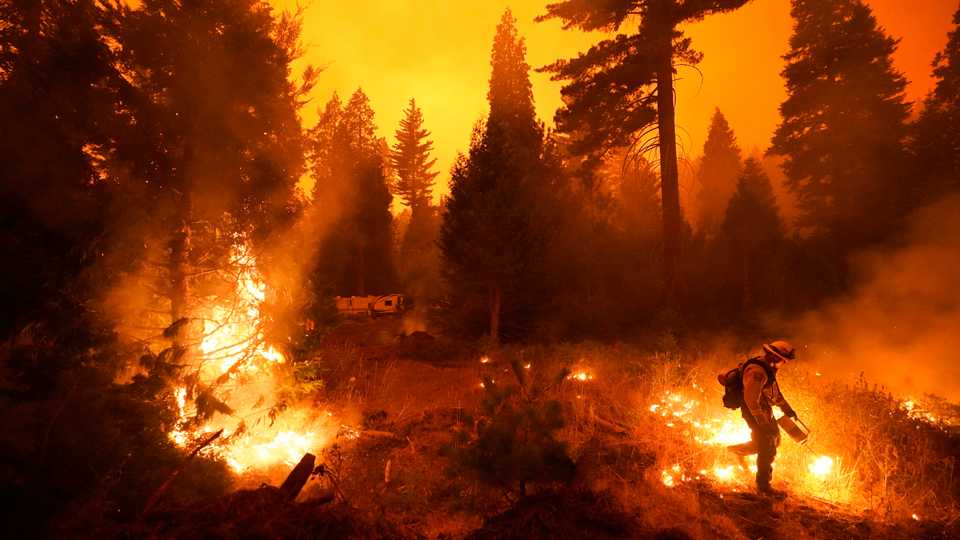 Firefighter Ricardo Gomez, of a San Benito Monterey Cal Fire crew, sets a controlled burn with a drip torch while fighting the Creek Fire, Sunday, Septeber 6, 2020, in Shaver Lake, California.