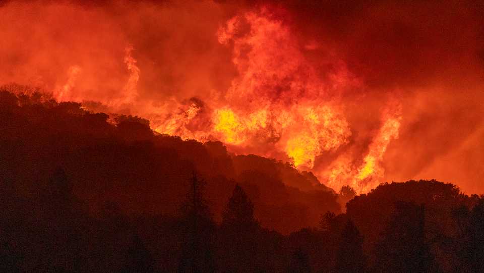 Flames incinerate a forest as the Creek Fire rapidly expands on September 8, 2020 near Shaver Lake, California.