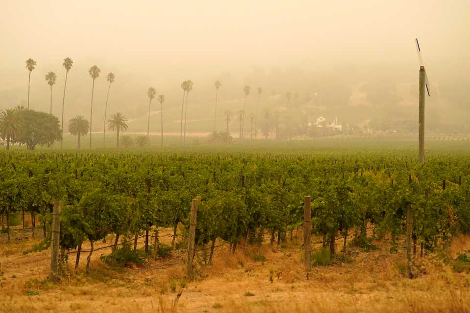 Smoke and haze from wildfires hover over a vineyard in Sonoma, California, United States, September 10, 2020.
