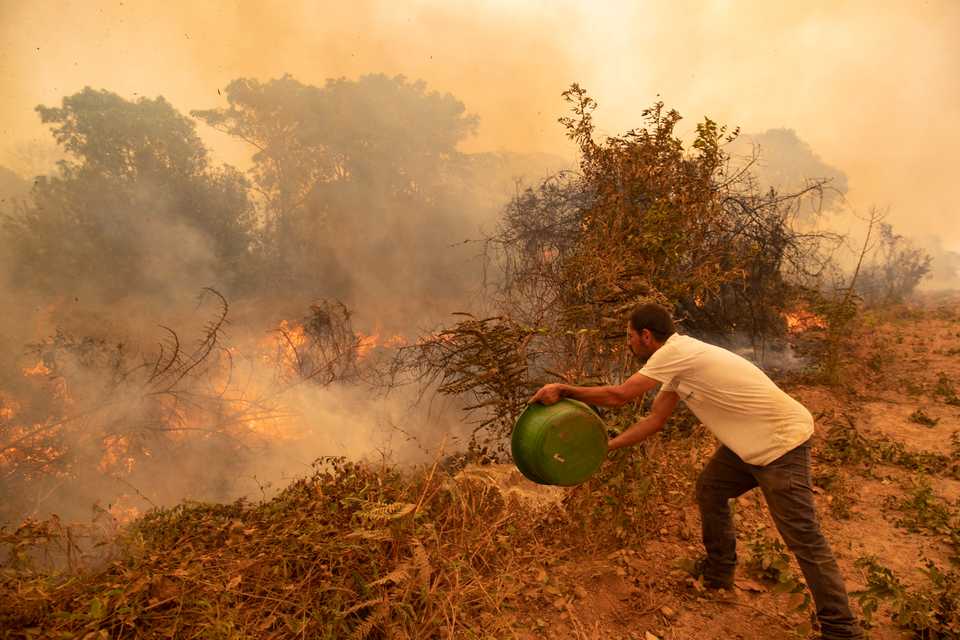 A volunteer tries to douse a fire on the Transpantaneira road in the Pantanal wetlands near Pocone, Mato Grosso state, Brazil, September 11, 2020.