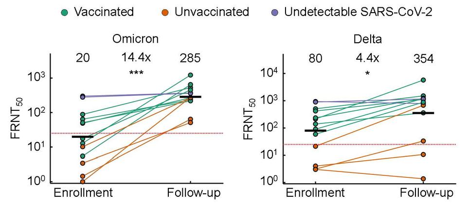 Improving Delta Neutralization in Omicron Infection.  Omicron or Delta virus neutralization with blood plasma from n = 13 participants infected in the Omicron infection wave at enrollment (median 4 days after symptom onset) and at follow-up (median 14 days after enrollment).