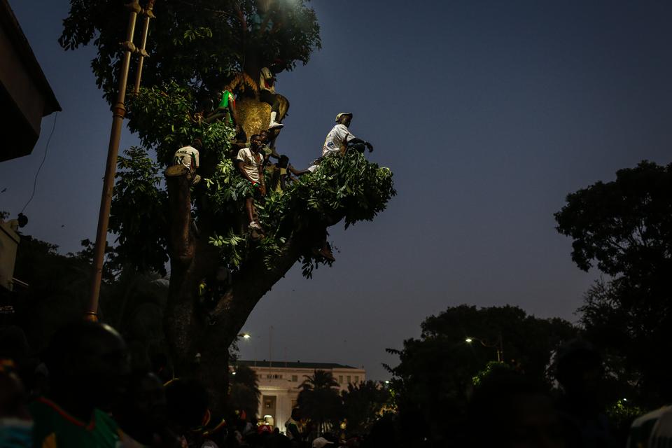 Fans sit in trees overlooking the road leading to the Presidential Palace of Dakar hoping to greet the players parading through the city. The Lions of Teranga were welcomed as heros upon landing, with President Macky Sall meeting them at the airport.