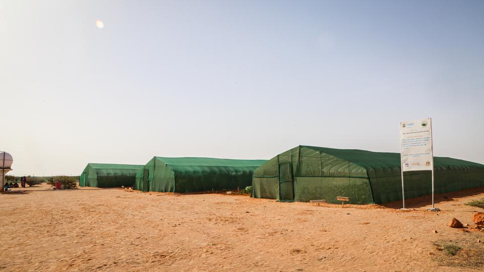 The exterior of a greenhouse farming structure made of transparent materials that shades crops from weather conditions and pests. The structure was built by Zainab and other farmers to help protect their farms.