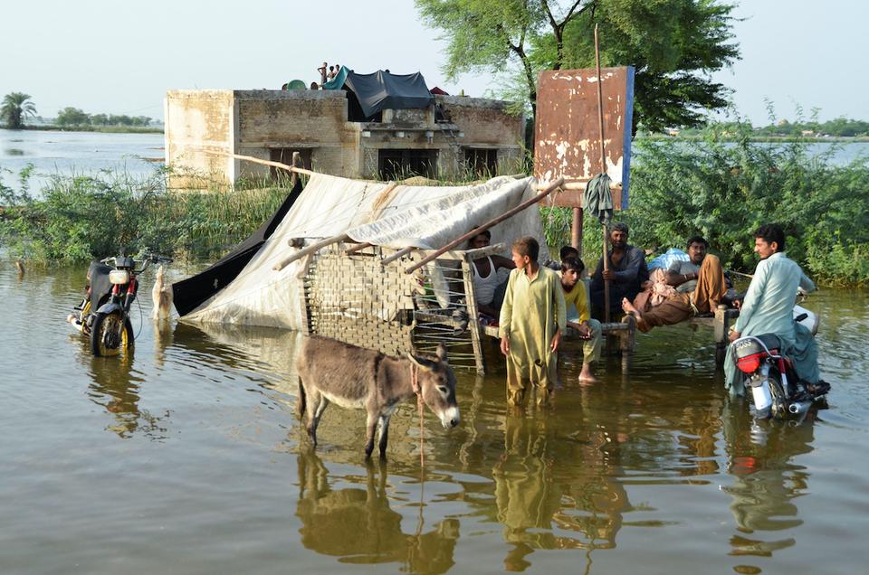 According to the initial government estimates, the ongoing monsoon spells, and floods, have caused over $4 billion worth of losses to the country's already tottering economy.