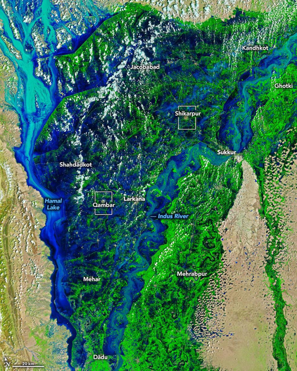 The false-colour images above show how much of Sindh's land is now under water, acquired by the Operational Land Imagers aboard the Landsat 8 and Landsat 9 satellites on August 28 and shared by NASA.