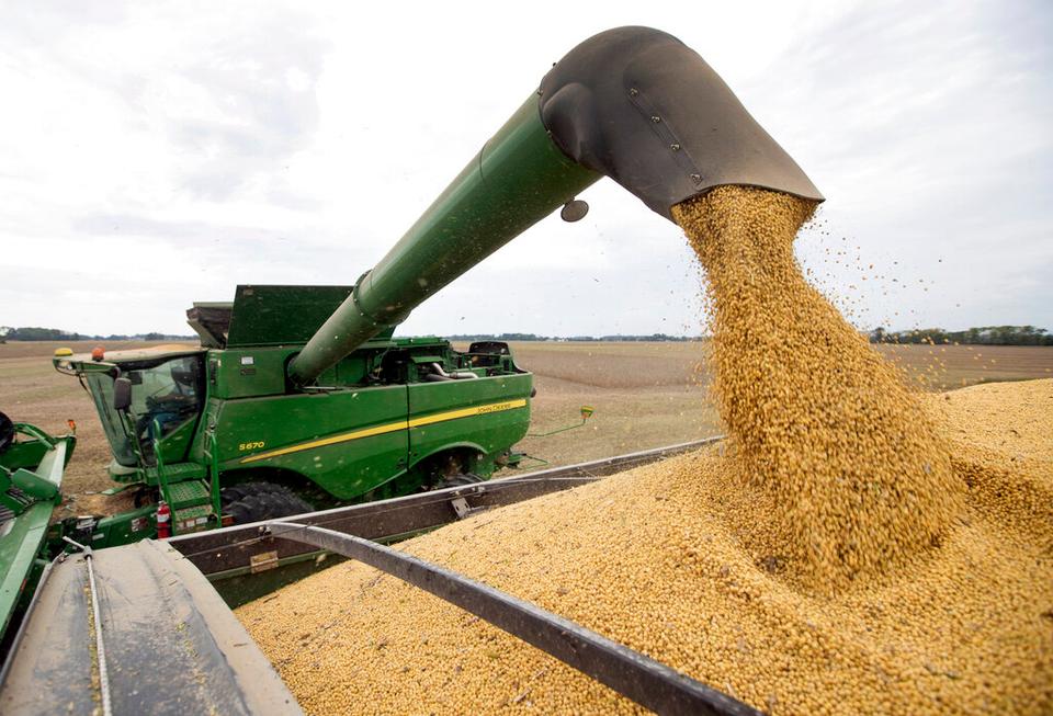 In 2019 the EU allowed American soy beans to be used in production biofuel after then US President Donald Trump exerted pressure.