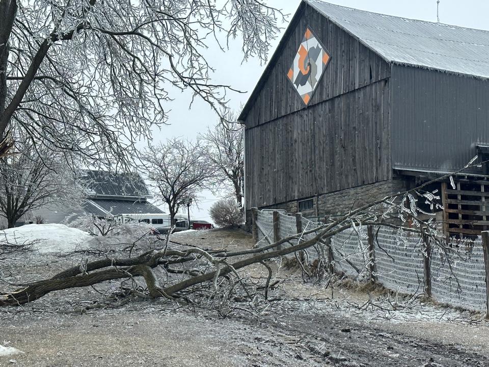 A view shows the landscape after an ice storm, in Apple Hill, Ontario.