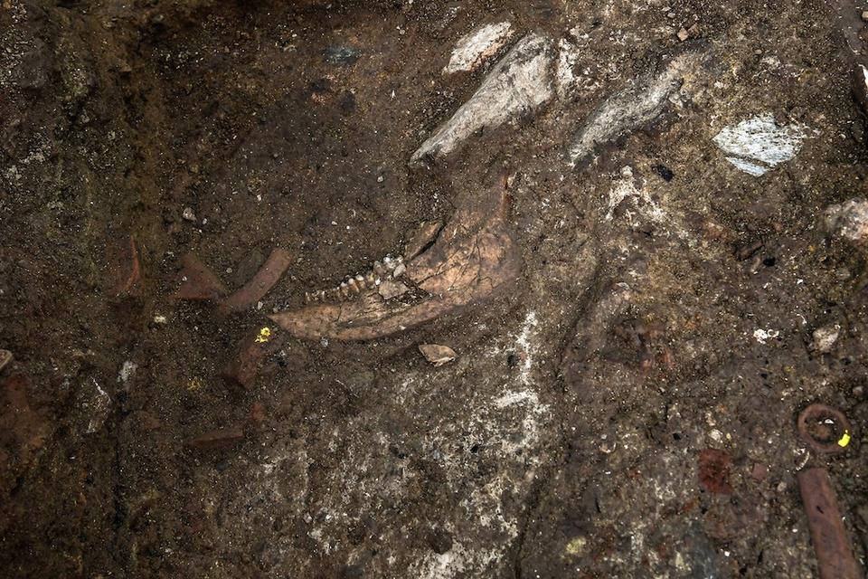 A piece of bone is pictured in the excavation of an ancient site under the city centre of modern Thessaloniki, on April 25, 2018.
