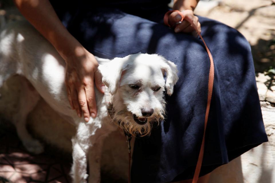Diana Topali, 42, caresses Loukoumakis while she is speaking with Reuters in the yard of her house in Porto Rafti near Athens, Greece, July 31, 2018.