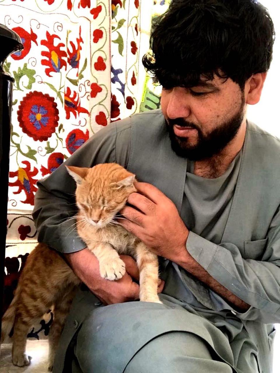 Kabul strays affected by the Taliban bombing find human sympathy